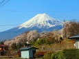 春の富士吉田市