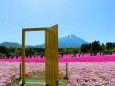 富士山へのドア
