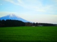 新緑と富士山
