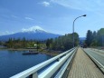 新緑と河口湖大橋
