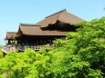 新緑の清水寺