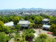 新緑の犬山城