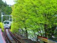 新緑の貴船駅
