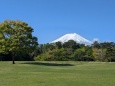 新緑と富士山