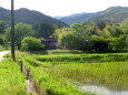 新緑の山里 田植えの季節