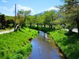 新緑の忍野八海