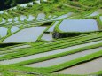 田植え前の棚田