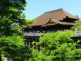 新緑の清水寺