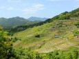 棚田と紀伊山地