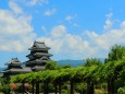 新緑の松本城