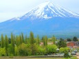 新緑と富士山