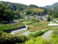 山間集落田植えの季節 初夏へ