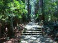 5月の熊野古道