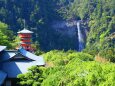 新緑の那智大社と滝