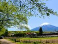 新緑と富士山