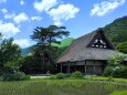 新緑の白川郷