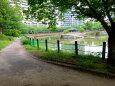 梅雨も近づく初夏の公園