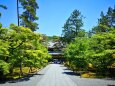 5月の南禅寺