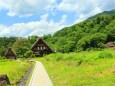新緑の白川郷