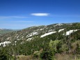 初夏の八幡平