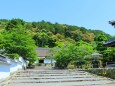 5月の南禅寺