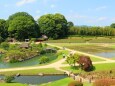 5月の岡山後楽園