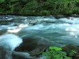 奥入瀬渓流