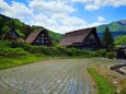 6月の白川郷
