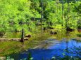 初夏の清流