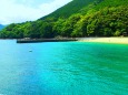 初夏の東紀州の海