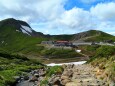 6月の乗鞍岳