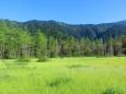 7月の田代湿原