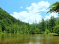 夏の明神池