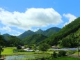 夏の里山