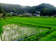 棚田と集落の静かな山間部