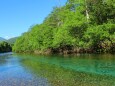 夏の清流梓川