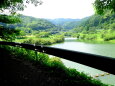 木陰の遊歩道から夏のダム湖