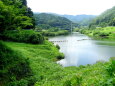 夏の緑の静かなダム湖