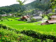 山村集落の棚田
