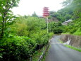 緑の山寺の五重の塔
