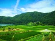 白馬村の田園風景