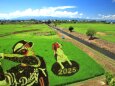 奥州アテルイの里 田んぼアート