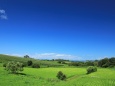 夏の田園風景