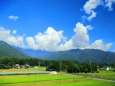 夏の田園風景