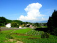 山里に夏の晴れ間と夏の雲