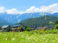 夏の白馬村