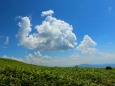 山の夏空