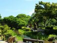 夏の金沢兼六園