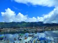 夏の漁港