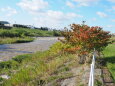 初秋の豊平川